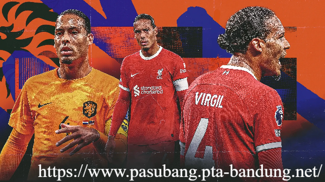 Virgil van Dijk Murka